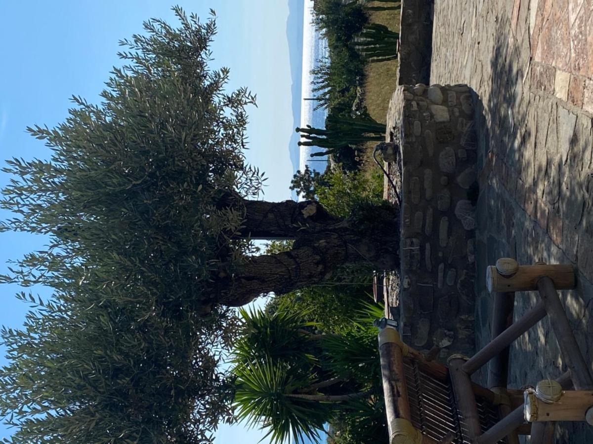 Il Mulino Country Resort 特雷比萨切 外观 照片